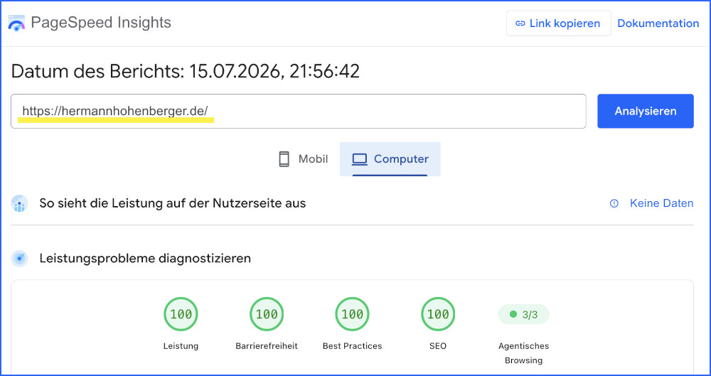 Pagespeed Analyse Hermann-Hohenberger-Blog